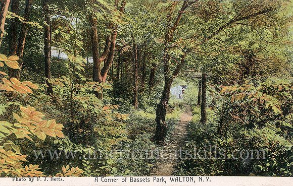 A Corner of Bassets Park, Walton, N.Y.
