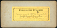 Stereoscopic Treasures, Published by A. M. North, Oneonta, N.Y.
