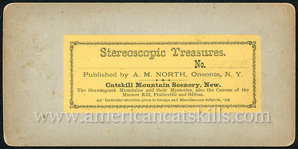Stereoscopic Treasures, Published by A. M. North, Oneonta, N.Y.