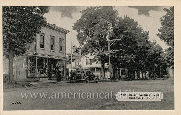 Main Street, Looking West, Durham, N.Y.