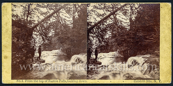 4_From the top of Bastion Falls, looking down, Catskill Mts., N.Y.