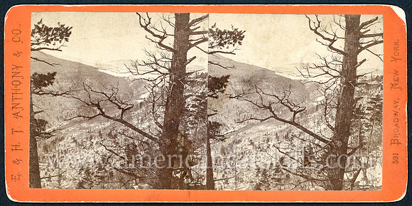 Vintage E. & H. T. Anthony & Co. stereoview # 264 titled “Looking down Kauterskill Clove from Sunset Rock” from the “Winter in the Catskills” series.
