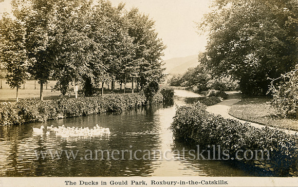 The Ducks in Gould Park, Roxbury-in-the-Catskills