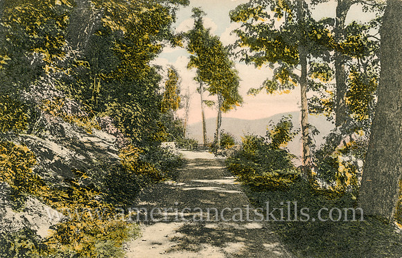 8_Artist Seat, Onteora, Catskill Mts., N. Y.