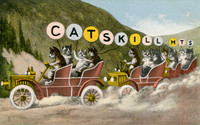 Catskill Mts.
