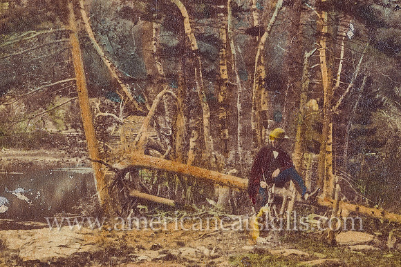 Historic Catskills stereoview by William England taken during his 1859 tour of the United States.