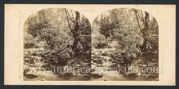Historic Catskills stereoview by William England taken during his 1859 tour of the United States.