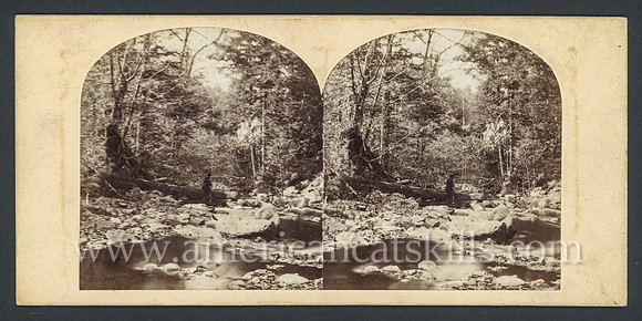 Historic Catskills stereoview by William England taken during his 1859 tour of the United States.
