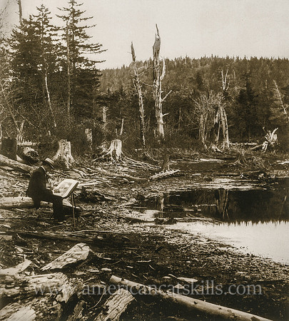 #59  Forest Scene, on the Catskill Mountains.