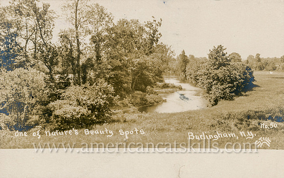 50_One of Nature's Beauty Spots, Burlingham, N.Y.