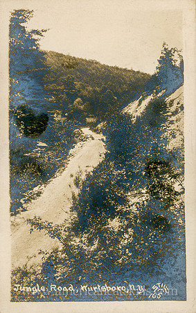 165_Jungle Road, Wurtsboro, N.Y.