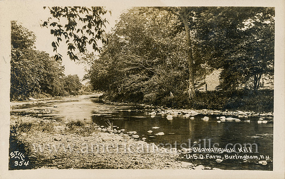 354_Shawangunk Kill, U. S. O. Farm, Burlingham, N.Y.
