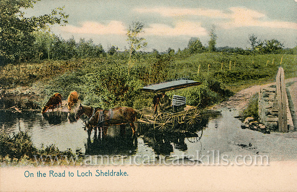 On the Road to Loch Sheldrake
