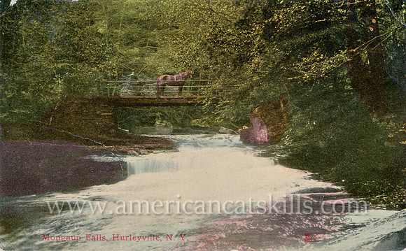 Mongaup Falls, Hurleyville, N.Y.