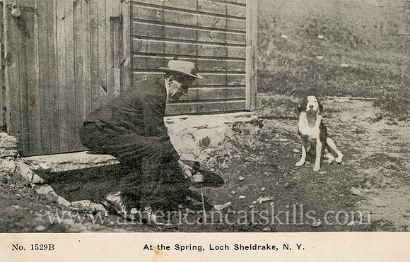 At the Spring, Loch Sheldrake, N.Y.