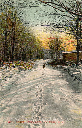 Winter Scene, Loch Sheldrake, N.Y.