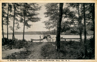 A Glimpse Through the Trees, Lake Huntington, Sull. Co., N.Y.