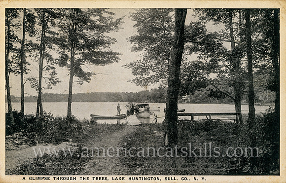 A Glimpse Through the Trees, Lake Huntington, Sull. Co., N.Y.