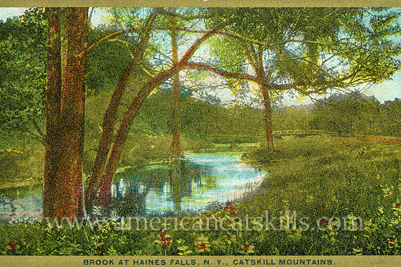 Brook at Haines Falls, N. Y., Catskill Mountains