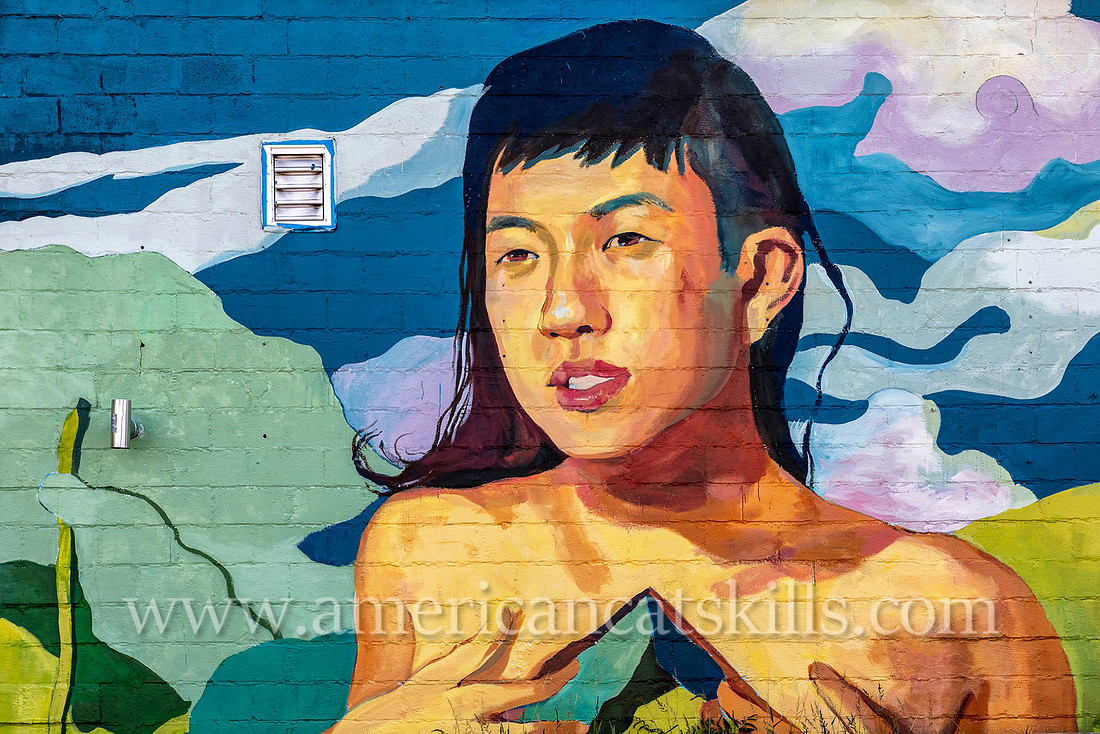 The mural titled “Between Realms We Grow Roots” was created by artists Jia Sung and Sarula Bao in Kingston, New York in conjunction with the 2017 O+ festival.