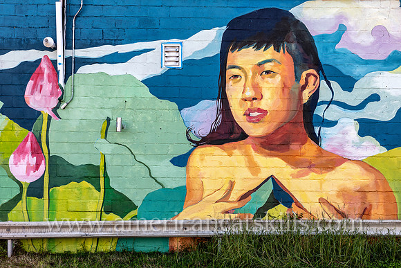 The mural titled “Between Realms We Grow Roots” was created by artists Jia Sung and Sarula Bao in Kingston, New York in conjunction with the 2017 O+ festival.