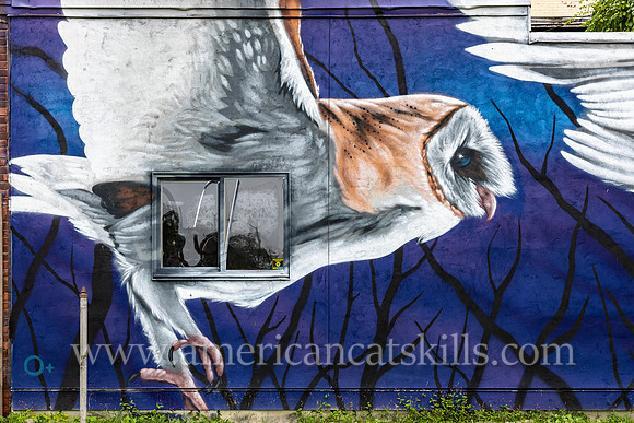 The mural titled “Flight Sequence was created by artist Justin Suarez and is located on the side of The Anchor bar and restaurant in midtown Kingston, New York.
