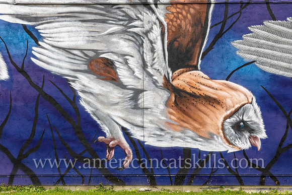 The mural titled “Flight Sequence was created by artist Justin Suarez and is located on the side of The Anchor bar and restaurant in midtown Kingston, New York.