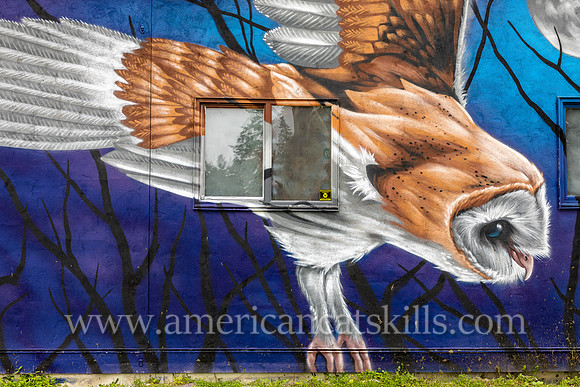 The mural titled “Flight Sequence was created by artist Justin Suarez and is located on the side of The Anchor bar and restaurant in midtown Kingston, New York.