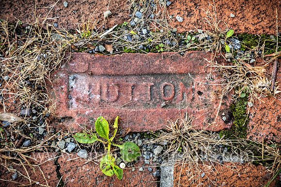 Close up of a brick in the sidewalk with the word “Hutton” imprinted on the face of the brick, as manufactured by the Hutton Brick Company of Kingston, New York.