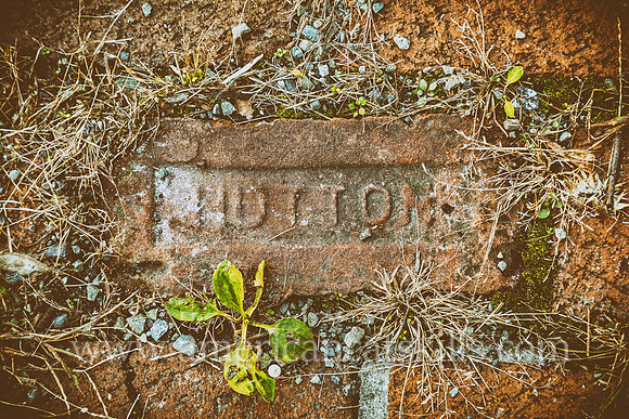 Close up of a brick in the sidewalk with the word “Hutton” imprinted on the face of the brick, as manufactured by the Hutton Brick Company of Kingston, New York.