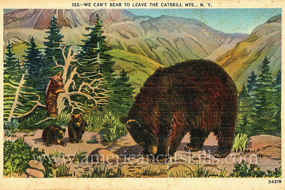 Vintage postcard titled "We Can't Bear to Leave the Catskill Mts., N.Y." as published by the Kingston News Service.