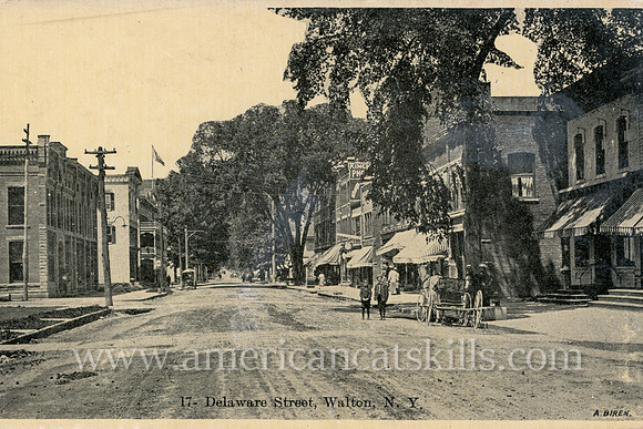 Vintage postcard of the buildings along Delaware Street in Walton, New York.