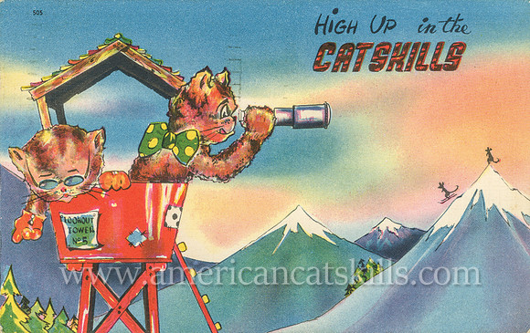 Vintage Catskills postcard depicting four cats enjoying themselves as they go for a ride in a double set of basket swings.