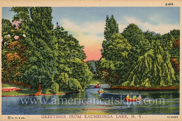 This vintage postcard depicts a peaceful scene on Kauneonga Lake, with calm waters, several canoes with boaters, lush green trees and blue skies.