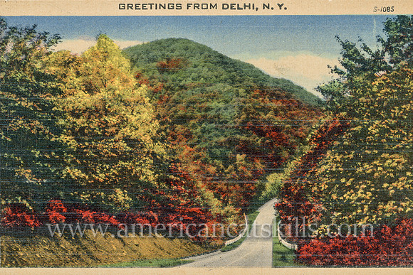 This vintage postcard depicts a small country highway in Delhi in Delaware County, New York as it slopes down into a valley between two mountains.