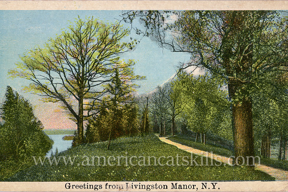 This vintage postcard depicts a quiet country scene at Livingston Manor in Sullivan County, New York.