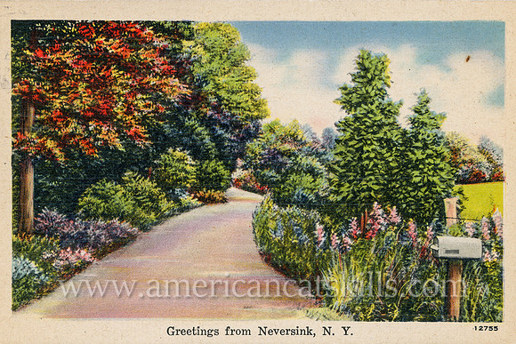 This vintage postcard depicts a quiet country road in the town of Neversink in Sullivan County, New York.