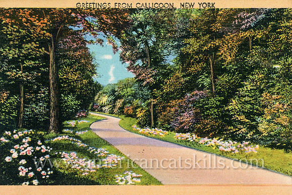 This vintage Catskills postcard depicts a quiet country road in the town of Callicoon in Sullivan County, New York.