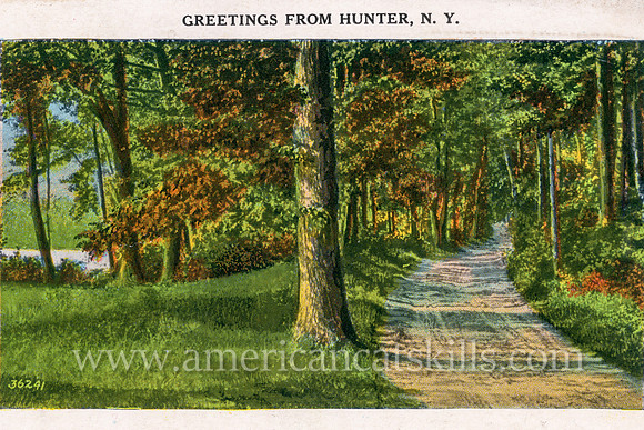 A dirt road makes its way through the thickly wooded countryside in this vintage postcard titled “Greetings from Hunter, N.Y.”