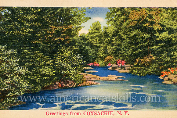 A peaceful river scene along with some thick woodlands is depicted on this vintage postcard titled “Greetings from Coxsackie, N.Y.”