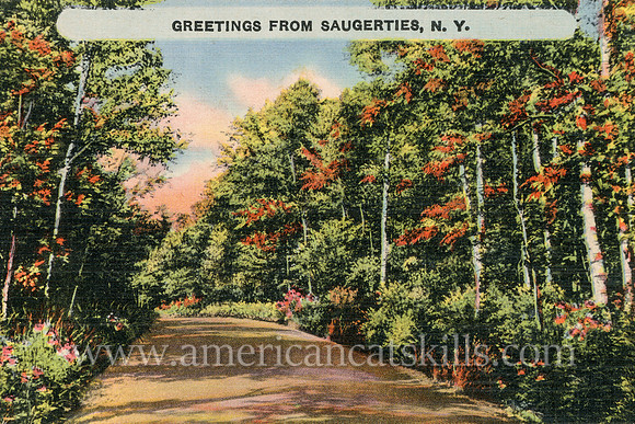 This vintage postcard titled “Greetings from Saugerties, N.Y.” depicts an idyllic country road as it makes its way through a thickly wooded landscape.