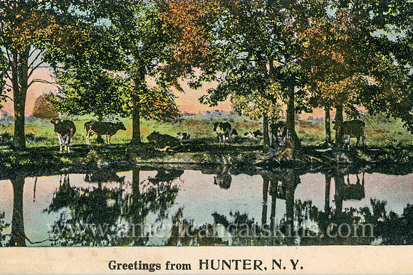 “Greetings from Hunter, N.Y.” is a vintage postcard depicting a group of cows resting near the shady waterside of a small lake. Hunter is a town in Greene County, New York in the northern Catskills.