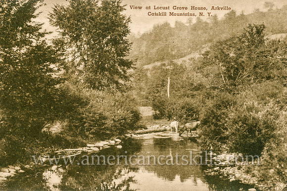 Vintage Catskills postcard depicting the Locust Grove House at Arkville in Delaware County, New York.