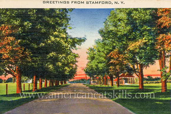 A wide dirt road makes its way through a tree-lined countryside at Stamford, New York in this vintage postcard.