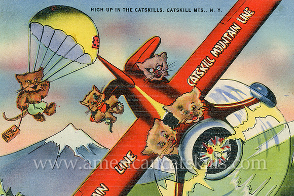 “Catskill Mountain Line”, “Kingston News Service”, Kingston, cars cat, cats, marketing, mountains, parachute, plane
