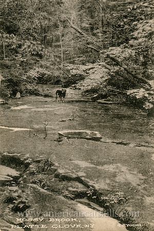 This vintage Catskills postcard by George S. Young depicts the extremely rugged cliffs of what was historically known as the Grand Canyon, but is today generally referred to as Platte Clove.