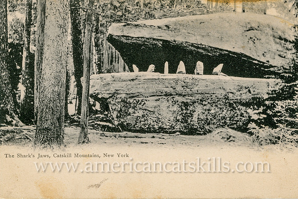 Vintage postcard titled “The Shark’s Jaws” that depicts a glacial erratic in the Catskills; the erratic has also been known as the Whale’s Mouth, but is most popularly known as Alligator Rock.