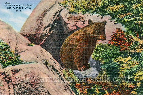 Vintage postcard titled “I Can’t Bear to Leave the Catskill Mountains” depicting a young bear cub.