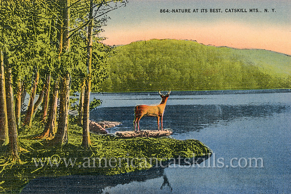 A lone buck stands on the lakeshore as the sun sets in this vintage postcard titled “Nature at its Best, Catskill Mts., N.Y.”