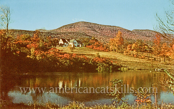 The Alpine View, Route 23, Acra, N. Y.